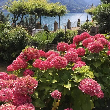 Peroni Honeymoon - With Swimming Pool