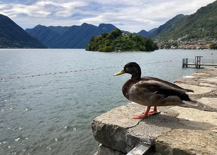 Peroni - Honeymoon Argegno