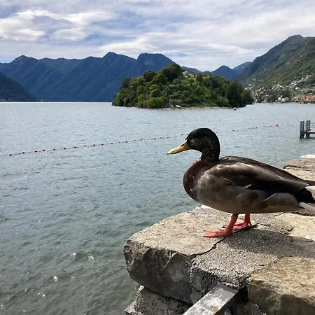 Peroni - Honeymoon Argegno